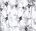 Rotating neurons
