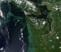 A large algae bloom off the Pacific Northwest coast occurred in July, 2014.