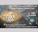 Explain the Brain Twitter Chart about Mysteries of the Brain with NBC Learn and NSF logos