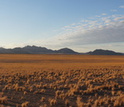 The Namib in the morning sun; fog usually occurs from late night to early morning.