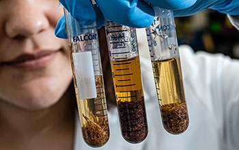 Samples of soil with various concentrations of organic carbon and proteins