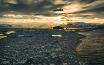 Sunlight reflects off sea ice along West Antarctic Peninsula