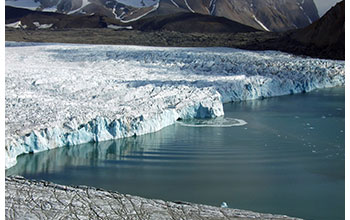 Waves produced by iceberg calving near terminus of Hansbreen glacier