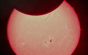 the sun  showing prominences and filaments.