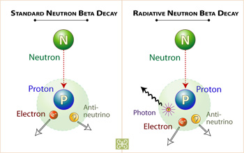 Rarely, a decaying neutron will produce photons of light (right panel).