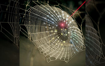 Spiderweb-inspired fractal design used for 3D photodetection