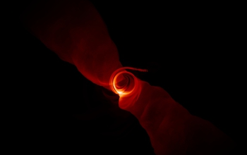 Simulated image of black hole