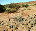 Titanosaur eggshell fossils at archaeological site