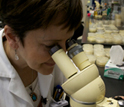 Photo of scientist Deborah Brock peering down a microscope.