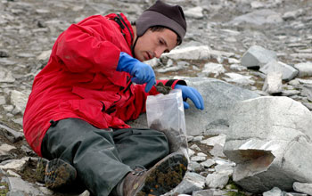 Scientist with soil sample in the Antarctica