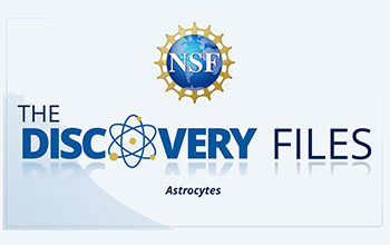 discovery files banner logo