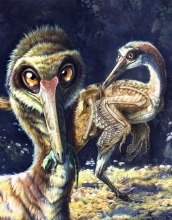 Buitreraptor, along with its primitive reptile prey, is reconstructed in this illustration.