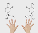 a two mirror molecules with right and left hands.