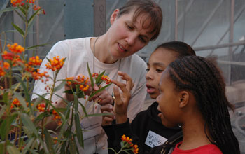 Karen Oberhauser with children observing a flowering plant