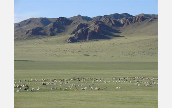 Photo of Mongolian rangelands with grazing animals.