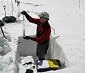 Photo of Chris Landry in June 2007, measuring snow water equivalence in a snowpit.