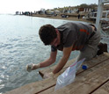 Photo of a scientist sampling Dead Sea water, which is some 12 times more saline than most seawater.