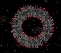 An animation showing how fatty acid micelles may form a vesicle.