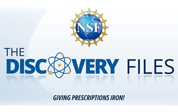 discovery files logo