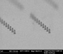 SEM image of the diamond nanoposts.
