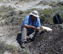 Scientist collects a sample from a coal bed near the dinosaur extinction level.