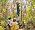 Photo of monitoring tower being installed by scientists at the Minas Gerais Institute of Forests.