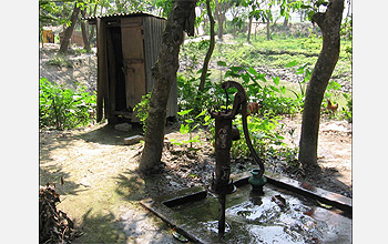 Village groundwater supplies in Bangladesh may foster arsenic poisoning and infectious diseases.