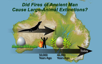 A 140,000-year dietary record of flightless birds implicates diet change and fire in extinctions.
