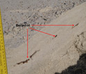 Photo showing a close-up view of oil buried under Gulf coast sands.