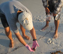 Photo of Ping Wang and research team collecting samples of oil uncovered along Gulf beaches.