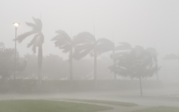 Irma's gales swept across South Florida in this image taken near Naples, Florida.