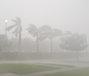 Irma's gales swept across South Florida in this image taken near Naples, Florida.