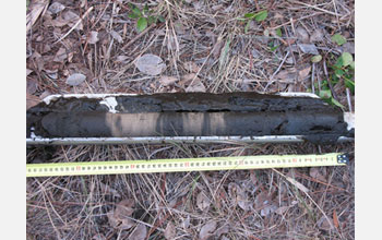 Photo of a sediment core sample collected in a laguna along the Florida Panhandle.