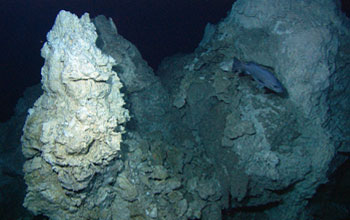 Photo of the Lost City chimney Poseidon, shown with a wreckfish.
