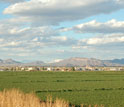 NSF's Central Arizona-Phoenix LTER site.