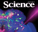 Cover of October 16, 2009 Science magazine