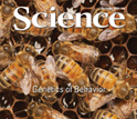 Nov. 7, 2008 cover of Science magazine.