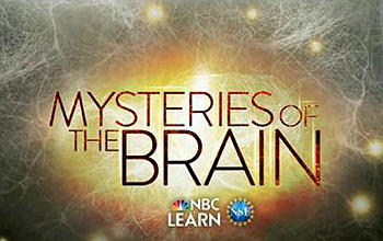 Mysteries of the Brain