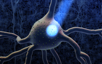 A neuron is turned on by light