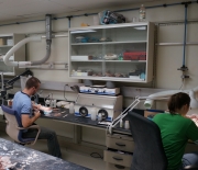 Back from the field: Studies of the new carnivore in a laboratory setting.