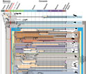 Diagram of new evolutionary tree for placental mammals.