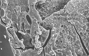 Scanning electron microscope image of novaculite