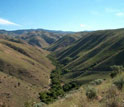 View of the Idaho Dry Creek