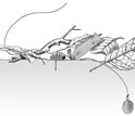 Illustration showing how seed movement is caught when the transmitter is pulled off a magnet.