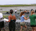 Photo of a field research team sampling animals at a mudflat study site.