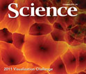 Cover of the February 3, 2012 issue of the journal Science.