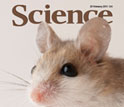 Cover of the February 25, 2011 issue of the journal Science.