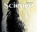 November 12, 2010 cover of Science magazine.