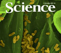 December 11, 2009 cover of the journal Science.