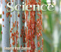 cover of Science magazine